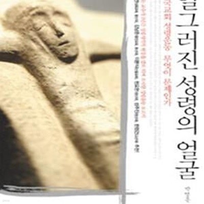 일그러진 성령의 얼굴 (한국교회 성령운동 무엇이 문제인가)     /(박영돈)