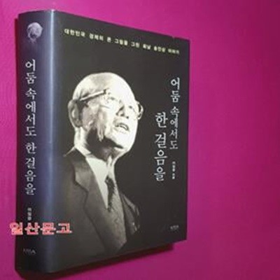 어둠 속에서도 한 걸음을 (대한민국 경제의 큰 그림을 그린 회남 송인상 이야기)