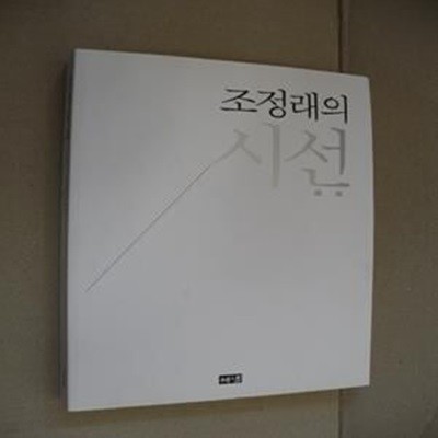 조정래의 시선