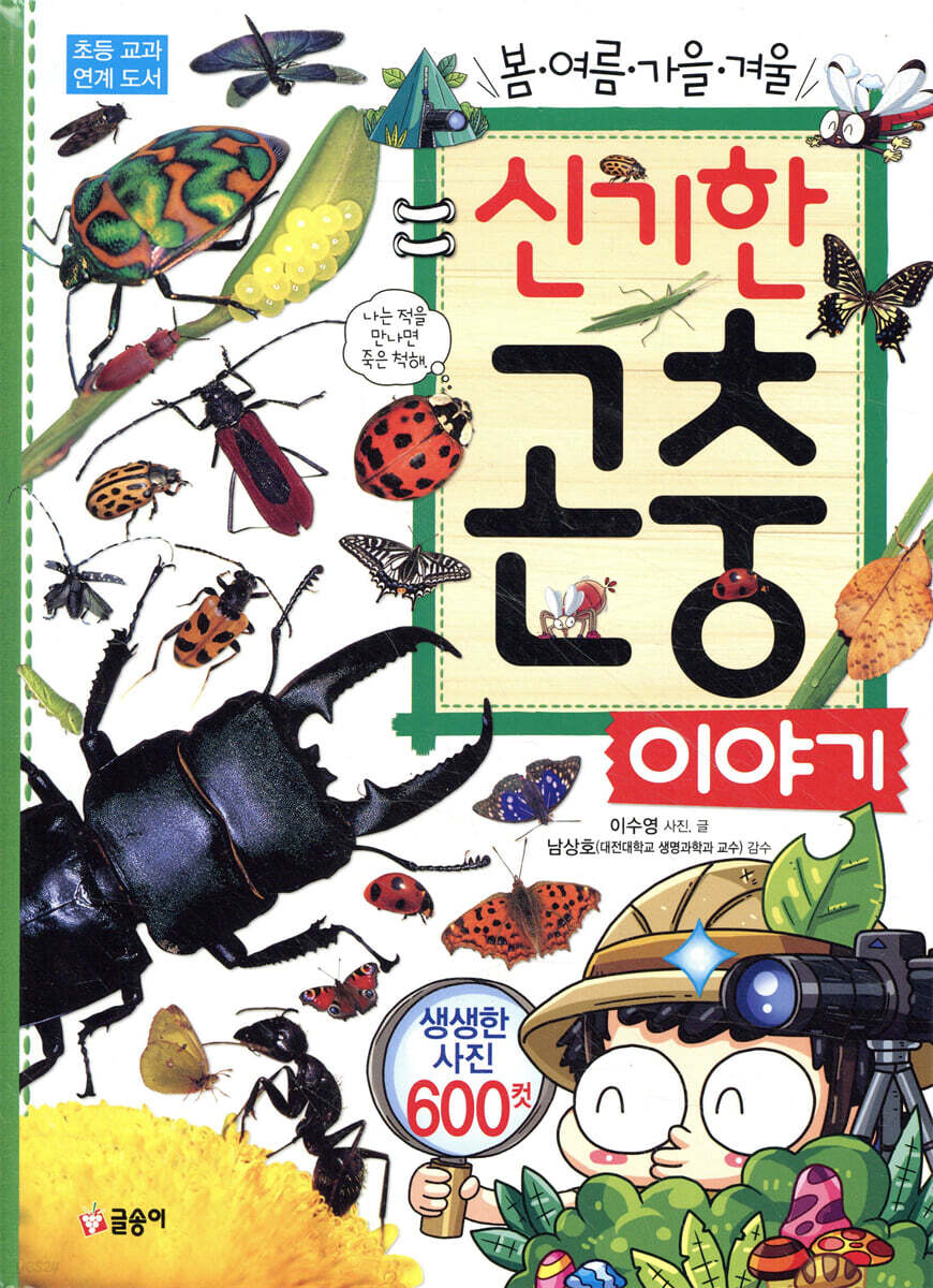 신기한 곤충 이야기