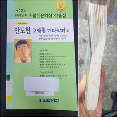 고래를 기다리며 외 (1999, 제13회 소월시 문학상 작품집)