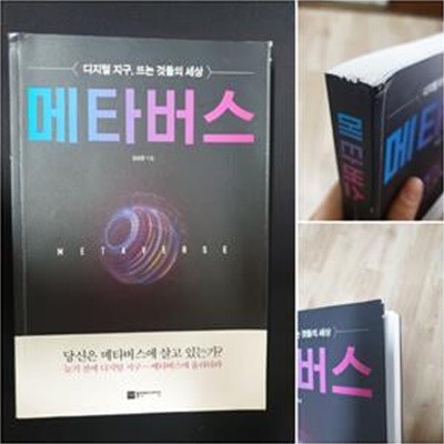 메타버스 (디지털 지구, 뜨는 것들의 세상)