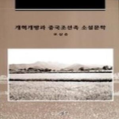 개혁개방과 중국조선족 소설문학 (초판 2001)