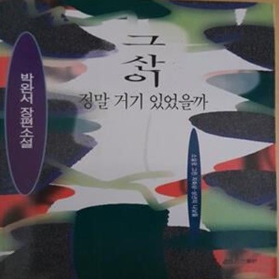 그 산이 정말 거기 있었을까 (소설로 그린 자화상 - 성년의 나날들)