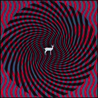 Deerhunter — Cryptograms / Flourescent Grey 앨범 커버
