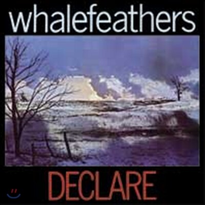 Whalefeathers — Declare 앨범 커버