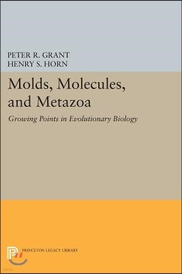 Molds, Molecules, and Metazoa: Growing Points in Evolutionary Biology