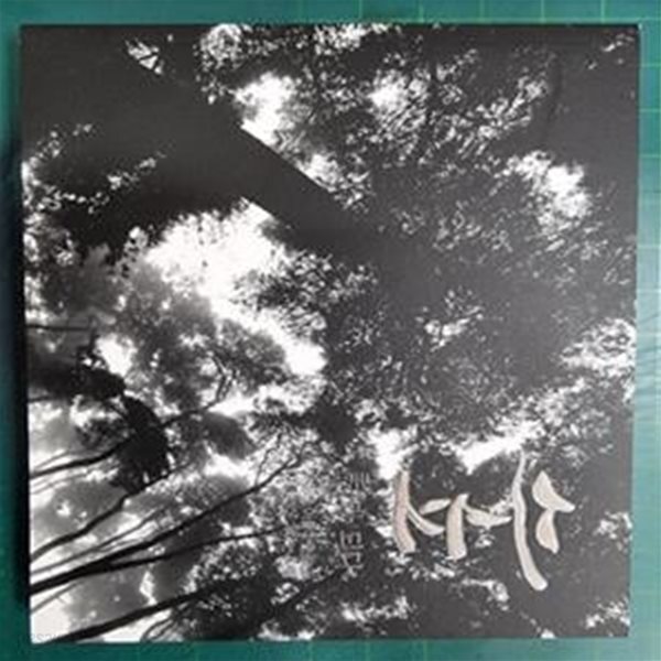 [중고샵] 숲 시가 되다 - 남도의 아름다운 숲과 시를 찾아 떠나는 여행 / 사진 김태수 . 발행인 김종옥 / 숲속의 전남 [최상급] - 실사진과... 
