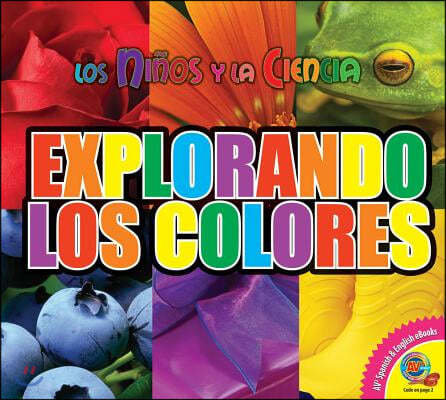 Explorando los Colores