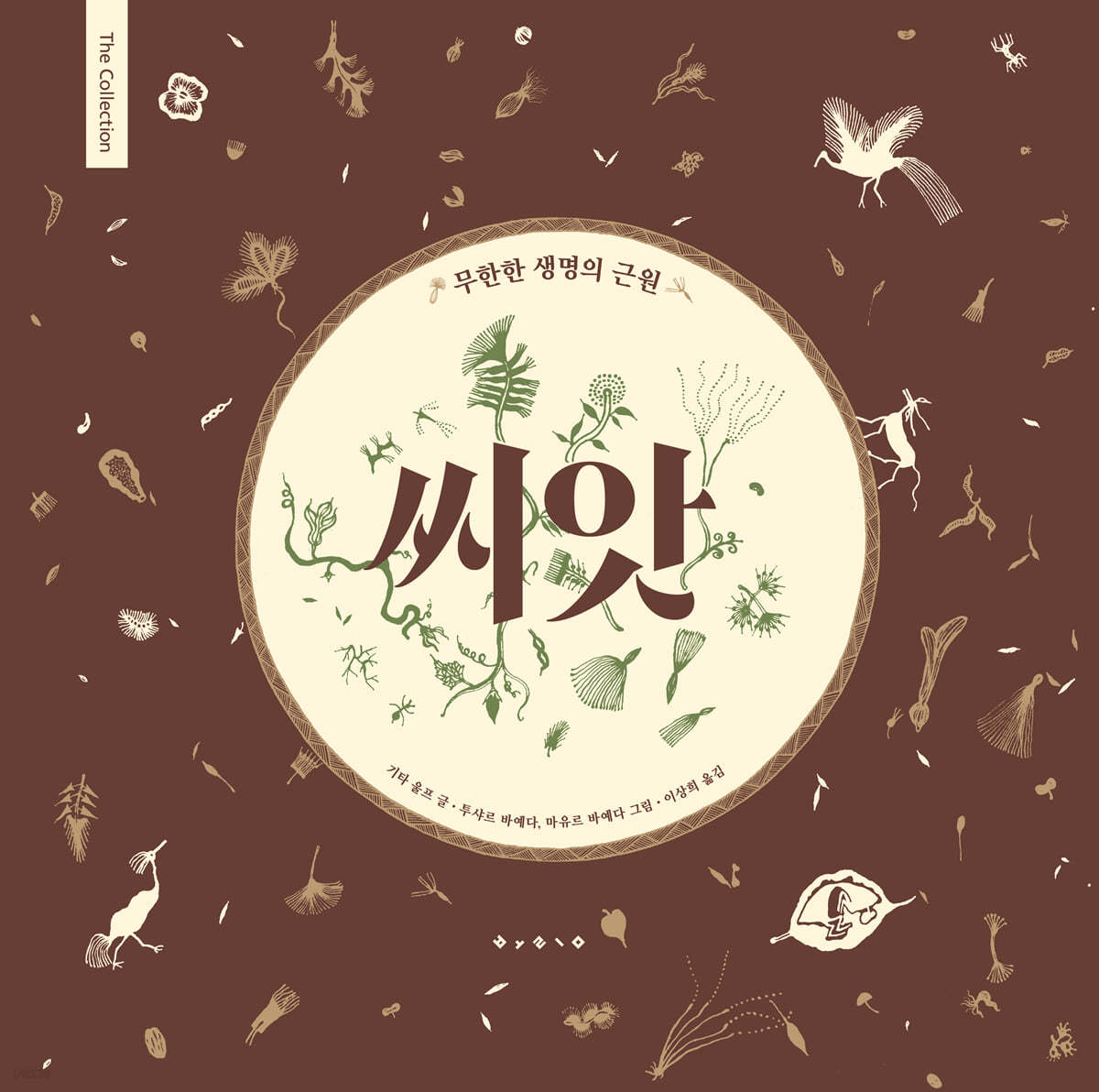 씨앗