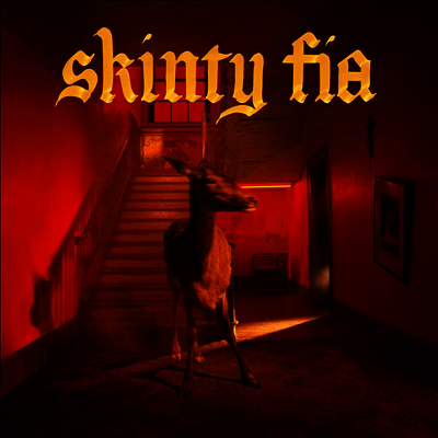 Fontaines D.C. — Skinty Fia 앨범 커버