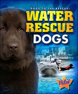 Water Rescue Dogs