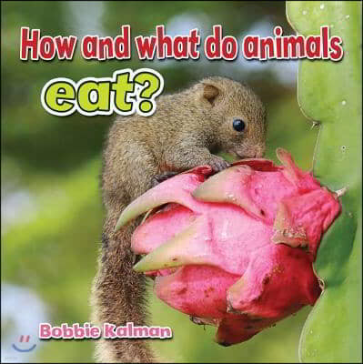 How and What Do Animals Eat?