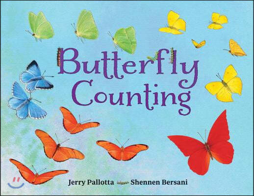 Butterfly Counting