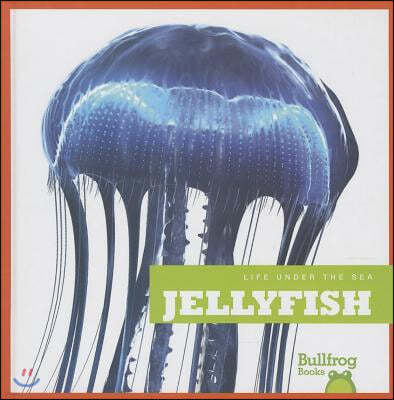 Jellyfish