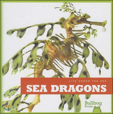 Sea Dragons