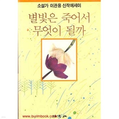 1992년 초판 소설가 이관용 신작에세이 별빛은 죽어서 무엇이 될까