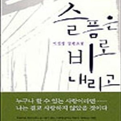 슬픔은 비로 내리고 (이진영 장편소설)