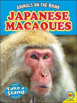 Japanese Macaques