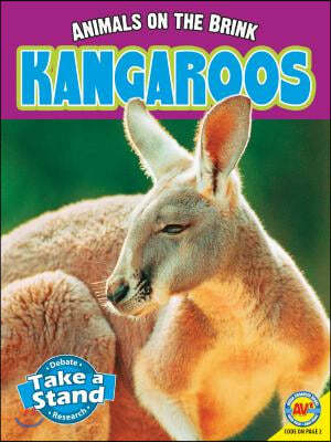 Kangaroos