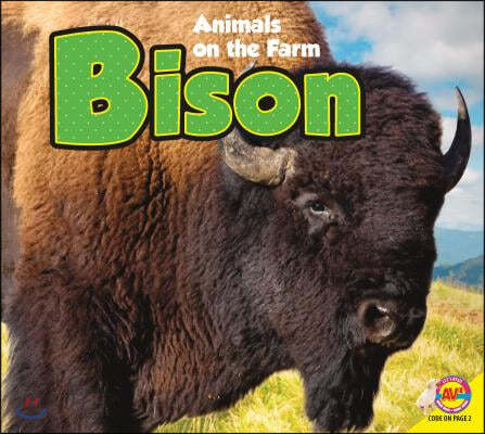 Bison