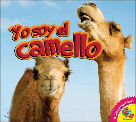 Yo Soy El Camello