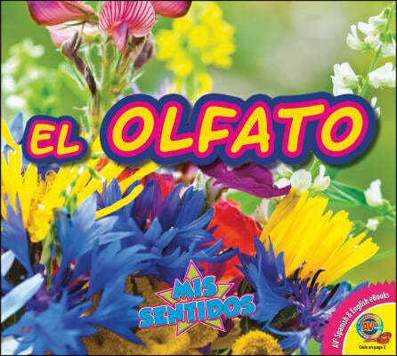 El Olfato