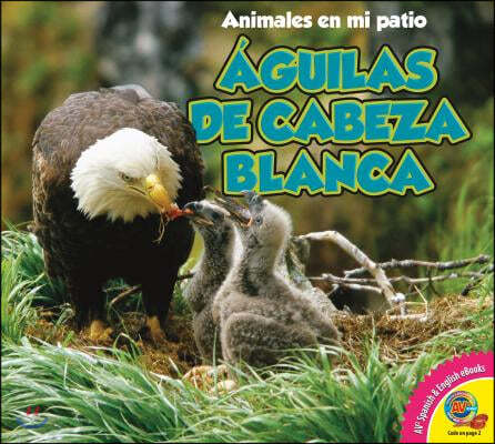 Aguilas de Cabeza Blanca = Bald Eagle