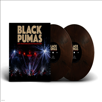 Black Pumas — Live From Brooklyn Paramount 앨범 커버