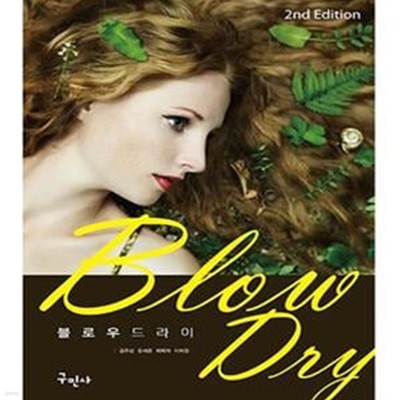 블로우 드라이 (Blow Dry)