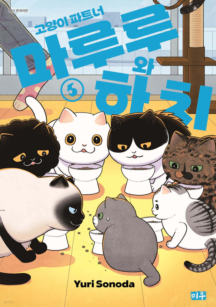 고양이 파트너 마루루와 하치 5