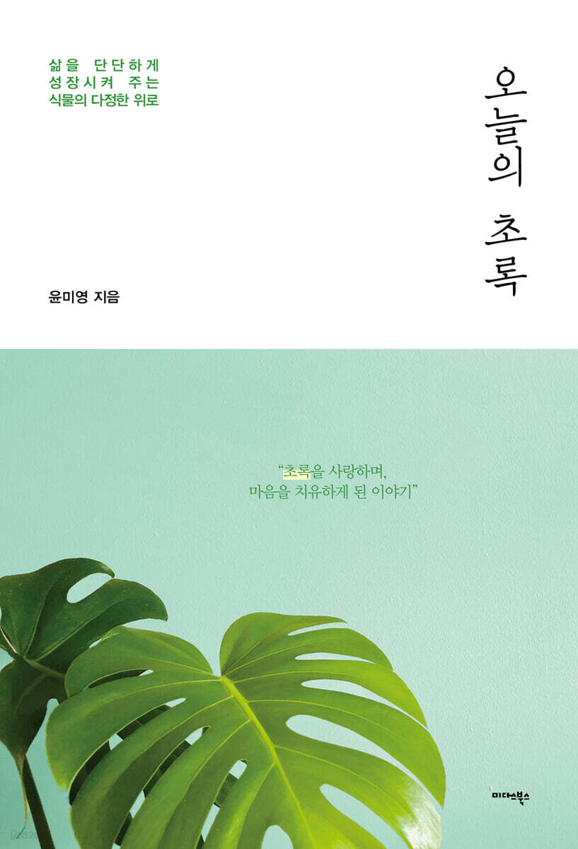 오늘의 초록