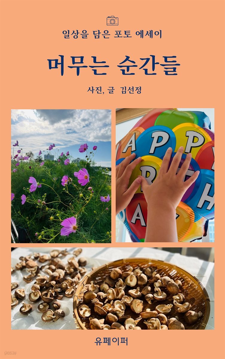머무는 순간들