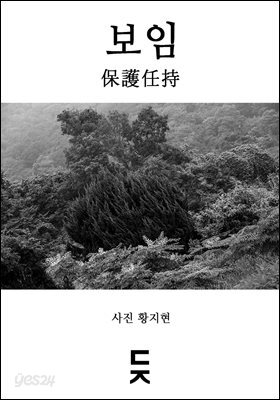 보임