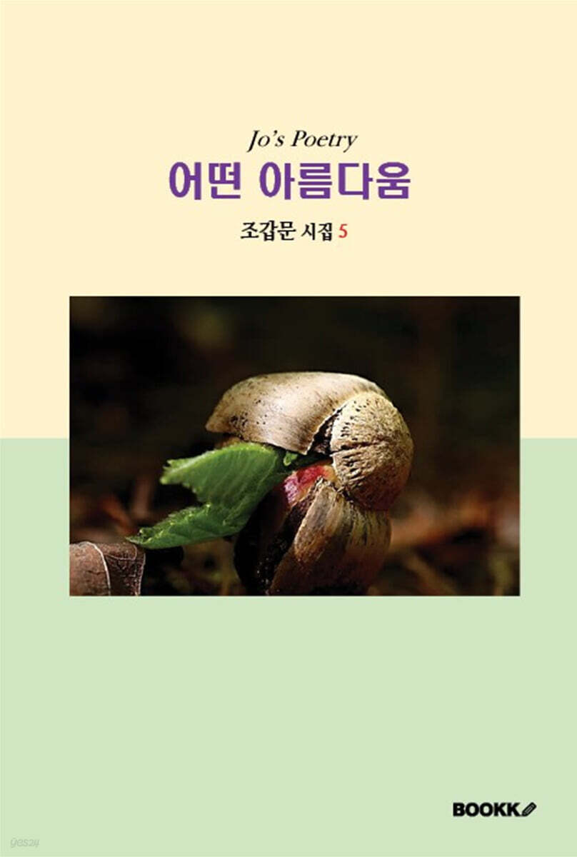 어떤 아름다움