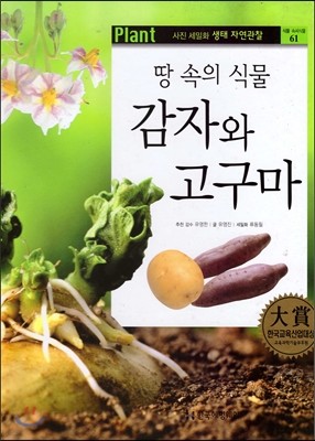 사진 세밀화 생태 자연관찰 61 땅 속의 식물 감자와 고구마