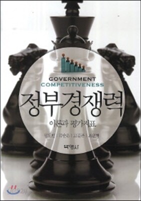 정부경쟁력