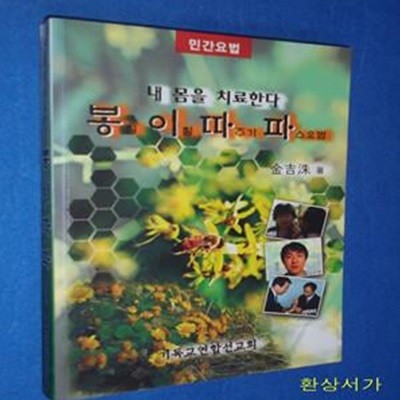 내 몸을 치료한다 - 봉침.이침.따주기.파스요법 (민간요법)