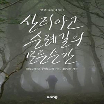 산티아고 순례길의 모든 순간: 20kg의 짐, 779km의 거리, 40일의 시간