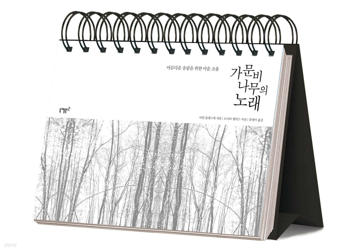 가문비나무의 노래 (365일 일력-스프링북)