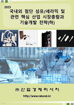 산업경제리서치 2025 국내외 첨단 섬유/세라믹 및 관련 핵심 산업 시장총람과 기술개발 전략(하)