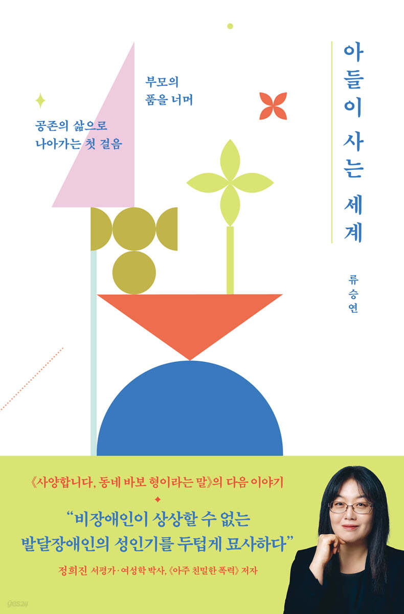 아들이 사는 세계 (큰글자도서)
