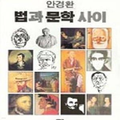 법과 문학 사이      /(안경환/하단참조)