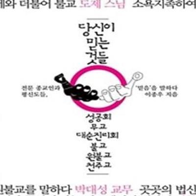 당신이 믿는 것들 (전문 종교인과 평신도들, 믿음을 말하다)