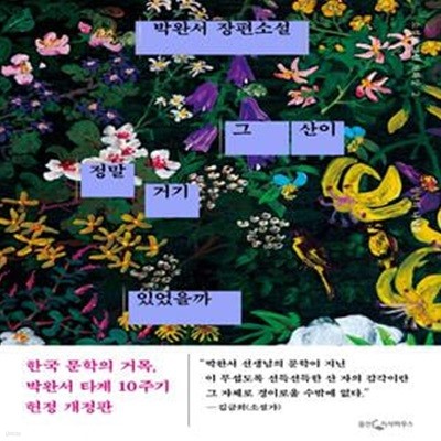 그 산이 정말 거기 있었을까 (박완서 장편소설,소설로 그린 자화상 2)