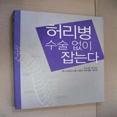 허리병 수술 없이 잡는다 (고도일 박사의 특수강화주사를 이용한 척추질환 치료법)