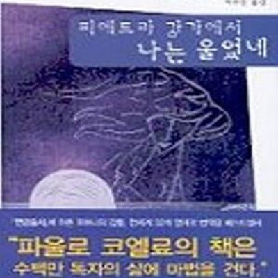 피에트라 강가에서 나는 울었네 (파울로 코엘료 장편소설)