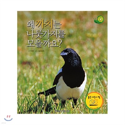 그린키즈 자연관찰 19. 왜 까치는 나뭇가지를 모을까요?