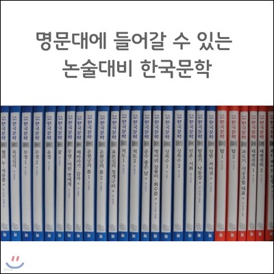 [헤르만헤세] 명문대에 들어갈 수 있는 논술대비 한국문학 (책80권)-2013년판