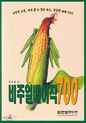 비주얼 베이직 700
